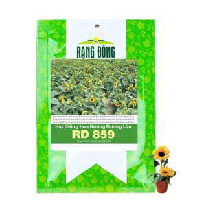 Hạt Giống Hoa Hướng Dương, Gói 10 hạt, Sai Hoa, Màu Rực Rỡ, Dễ Trồng Quanh Năm, Nảy Mầm Cao H03