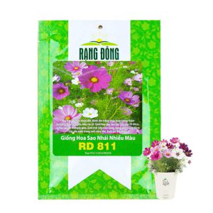 Hạt Giống Hoa Sao Nhái, Gói 0.3gr, Sai Hoa, Màu Rực Rỡ, Dễ Trồng Quanh Năm, Nảy Mầm Cao H13