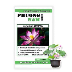 Hạt Giống Hoa Sen Ta, Gói 20GR, Dễ Trồng, Nảy Mầm Tốt, Bông To, Lá To, Dày Lá H10