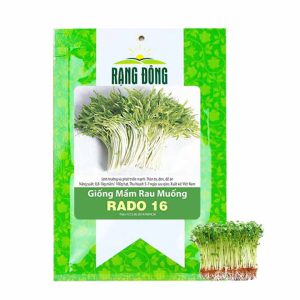 Hạt Giống Mầm Rau Muống, Gói 50g, Dễ Trồng Quanh Năm, Nảy Mầm Cao, Thu Hoạch Nhanh, Năng Suất Cao R14