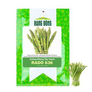Hạt Giống Măng Tây Xanh, Gói 0.5gr ~ 50 hạt, T19