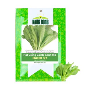 Hạt Giống Cải Bẹ Xanh Mỡ, Gói 20g, Dễ Trồng Quanh Năm, Nảy Mầm Cao, Thu Hoạch Nhanh, Năng Suất Cao R04