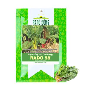 Hạt Giống Rau Cải Cầu Vồng, Gói 10g, Dễ Trồng Quanh Năm, Nảy Mầm Cao, Thu Hoạch Nhanh, Năng Suất Cao R06