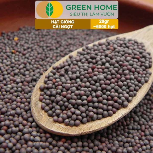 Hạt Giống Rau Cải Ngọt, Gói 20g, R03