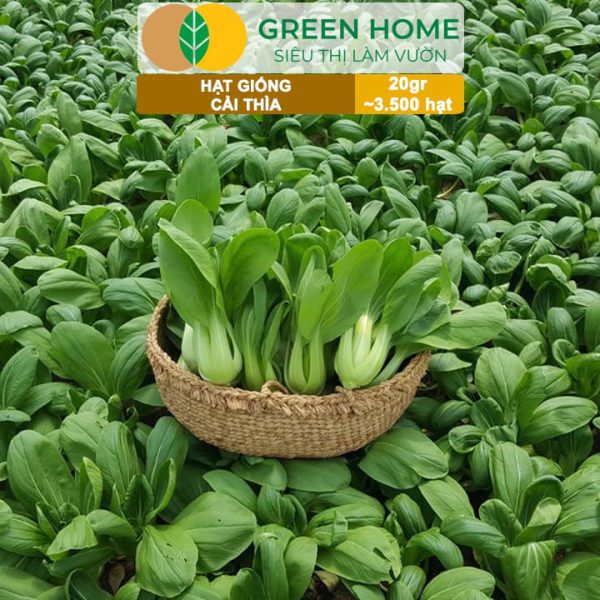 Hạt Giống Rau Cải Thìa, Gói 20g, R08