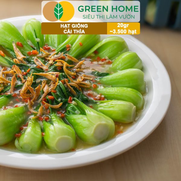Hạt Giống Rau Cải Thìa, Gói 20g, R08