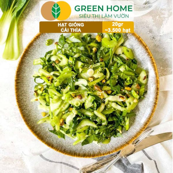 Hạt Giống Rau Cải Thìa, Gói 20g, R08