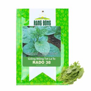 Hạt Giống Rau Mồng Tơi, Gói 20g, Dễ Trồng Quanh Năm, Nảy Mầm Cao, Thu Hoạch Nhanh, Năng Suất Cao R11