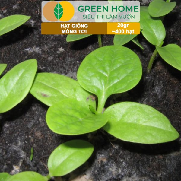 Hạt Giống Rau Mồng Tơi, Gói 20g, R11