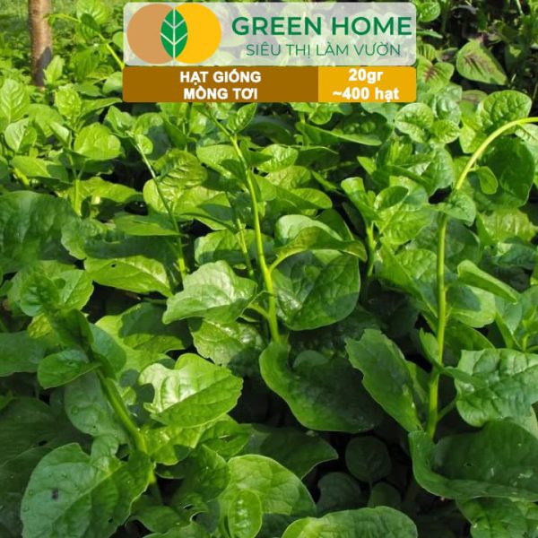Hạt Giống Rau Mồng Tơi, Gói 20g, R11