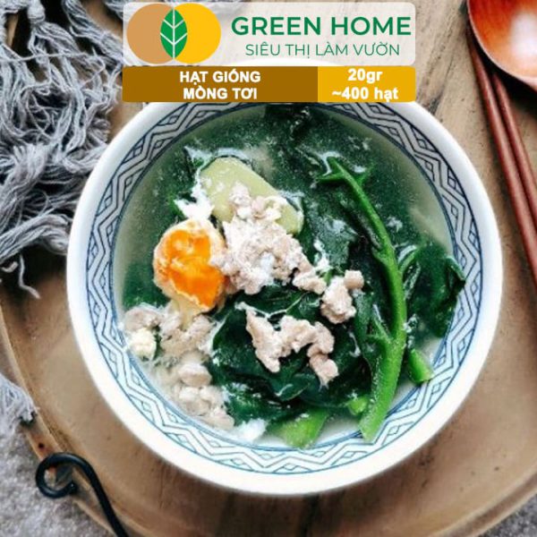 Hạt Giống Rau Mồng Tơi, Gói 20g, R11