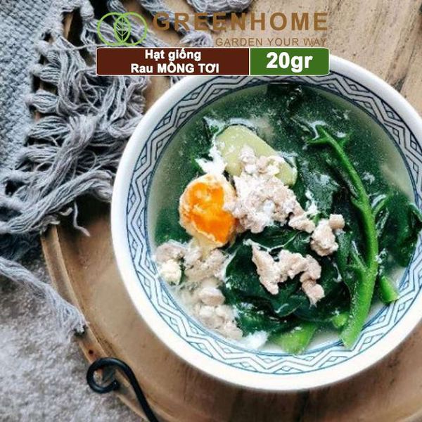 Hạt giống rau Mồng tơi, gói 20g, dễ trồng, thu hoạch nhanh R11 |Greenhome