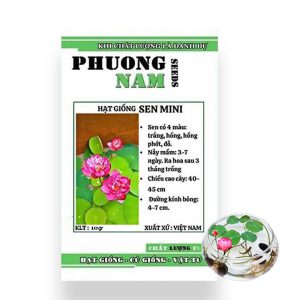 Hạt Giống Hoa Sen Nhật Mini, Gói 10gr, Nhiều Màu, Dễ Trồng, Nảy Mầm Tốt 01