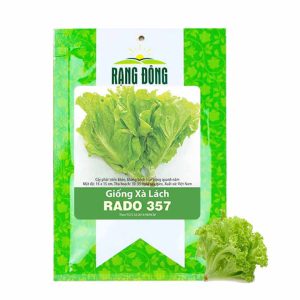 Hạt Giống Rau Xà Lách Vàng, Gói 10g, Dễ Trồng Quanh Năm, Nảy Mầm Cao, Thu Hoạch Nhanh, Năng Suất Cao R13