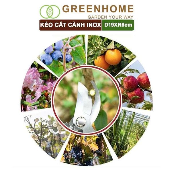 Kéo cắt cành, D19xR6cm, inox, siêu bén, không gỉ, có khoá an toàn, cắt được cành to |Greenhome