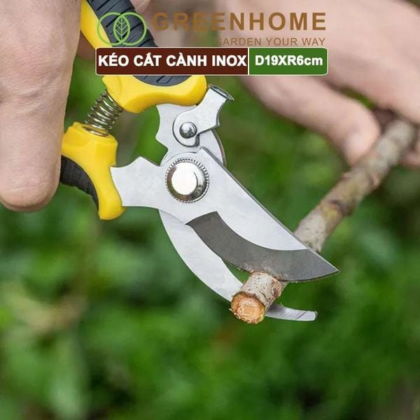 Kéo cắt cành, D19xR6cm, inox, siêu bén, không gỉ, có khoá an toàn, cắt được cành to |Greenhome