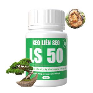 Keo Liền Sẹo LS50 Cho Cây, Chai 100gr, Liền Nhanh Vết Cắt Da Cây, Chiết Cành, Bonsai, Lan, Kiểng Lá