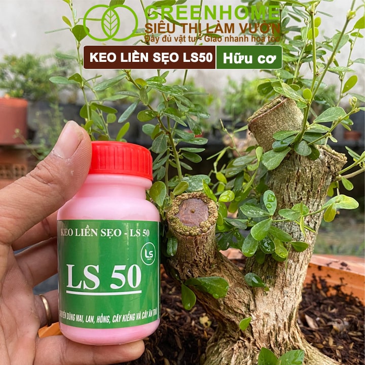 Keo Liền Sẹo LS50 Cho Cây, Chai 25gr, Liền Nhanh Vết Cắt Da Cây, Chiết Cành, Bonsai, Lan, Kiểng Lá