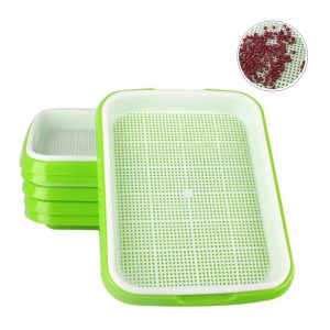 Khay Trồng Rau, D34xR25xC5cm, Nhựa Nguyên Sinh, An Toàn, Chuyên Trồng Giá, Rau Mầm Tại Nhà, Không Cần Đất