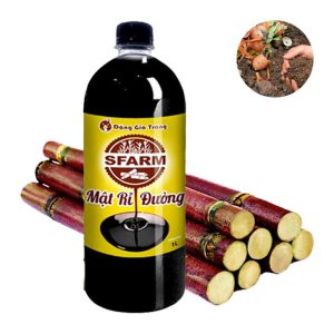 Mật Rỉ Đường, Sfarm, Chai 1 Lít, Phân Bón Hữu Cơ, Ủ Dịch Chuối, Nuôi Cấy Vi Sinh, Ủ Phân, Ủ Rác