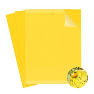 Miếng Dán Bẫy Côn Trùng, R20xC15cm, 2 Mặt, Siêu Dính, Hiệu Quả, Tiết Kiệm Chi Phí, Thân Thiện Môi Trường