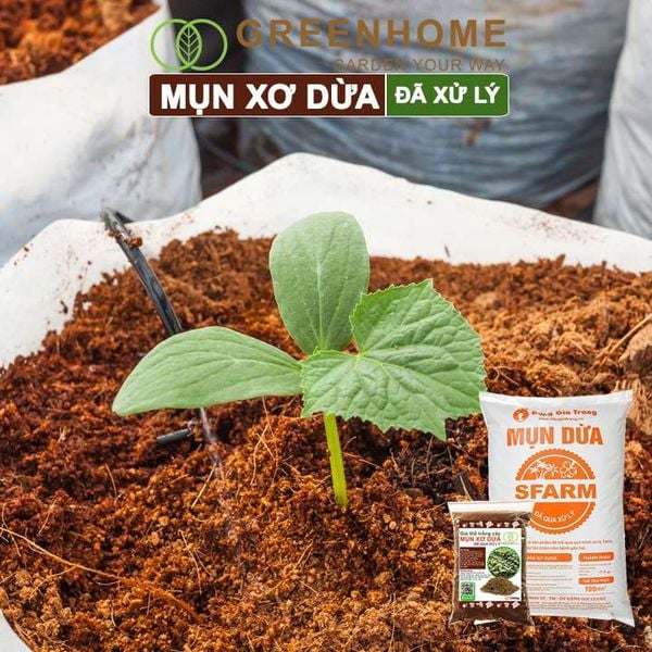 Mụn xơ dừa đã qua xử lý, chuyên trồng rau, hoa màu, dâu tây, cây ăn trái, thủy canh |Greenhome