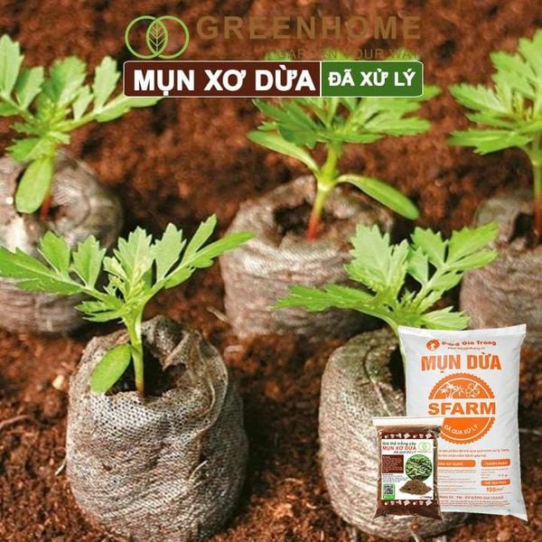 Mụn xơ dừa đã qua xử lý, chuyên trồng rau, hoa màu, dâu tây, cây ăn trái, thủy canh |Greenhome
