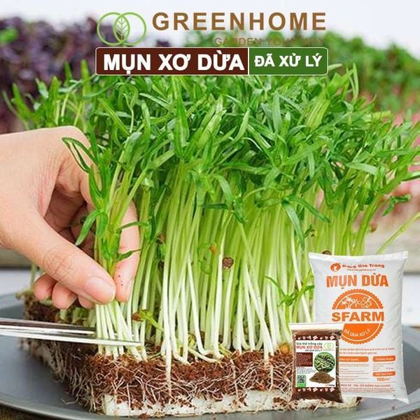 Mụn xơ dừa đã qua xử lý, chuyên trồng rau, hoa màu, dâu tây, cây ăn trái, thủy canh |Greenhome