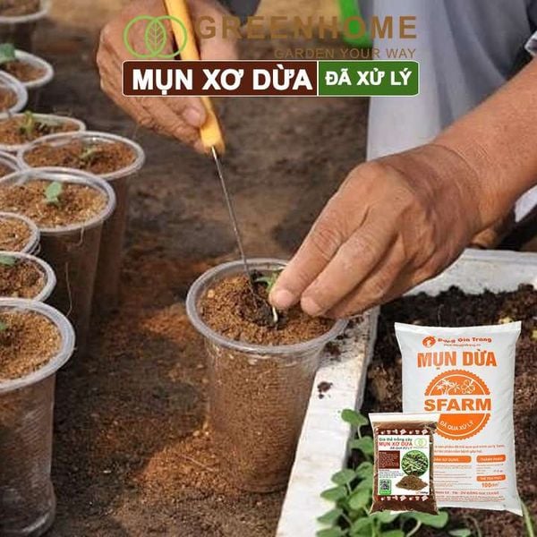 Mụn xơ dừa đã qua xử lý, chuyên trồng rau, hoa màu, dâu tây, cây ăn trái, thủy canh |Greenhome