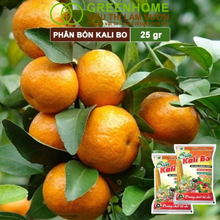 Phân Bón Kali Bo, Gói 25g, Kích Thích Ra Hoa, Giảm Rụng Trại Non, Nuôi Quả To, Chắc Ruột, Tăng Độ Ngọt