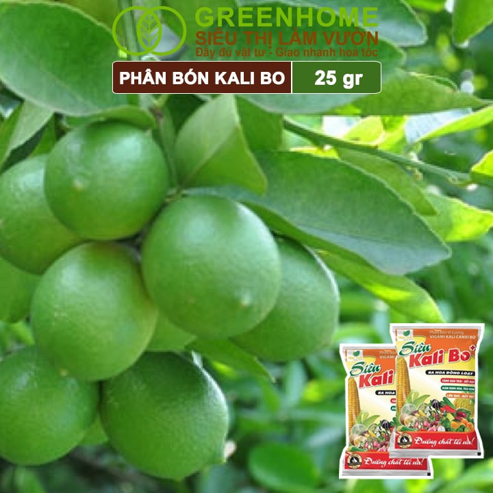 Phân Bón Kali Bo, Gói 25g, Kích Thích Ra Hoa, Giảm Rụng Trại Non, Nuôi Quả To, Chắc Ruột, Tăng Độ Ngọt