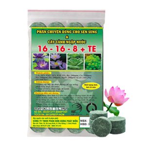 Phân Bón Hoa Sen, Vỉ 24 Viên, Cây Thuỷ Sinh, Ngập Nước, Cho Hoa To, Hoa Đậm Màu, Lâu Tàn, Tốt Lá
