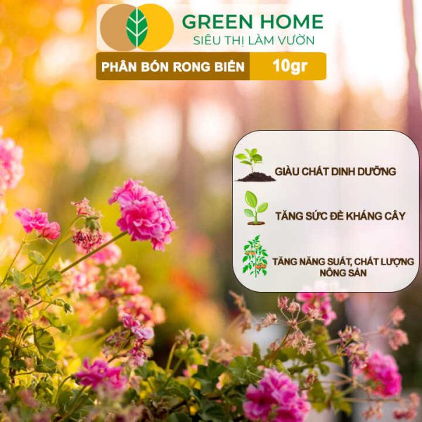 Phân Bón Lá Rong Biển Seaweed, Gói 10gr
