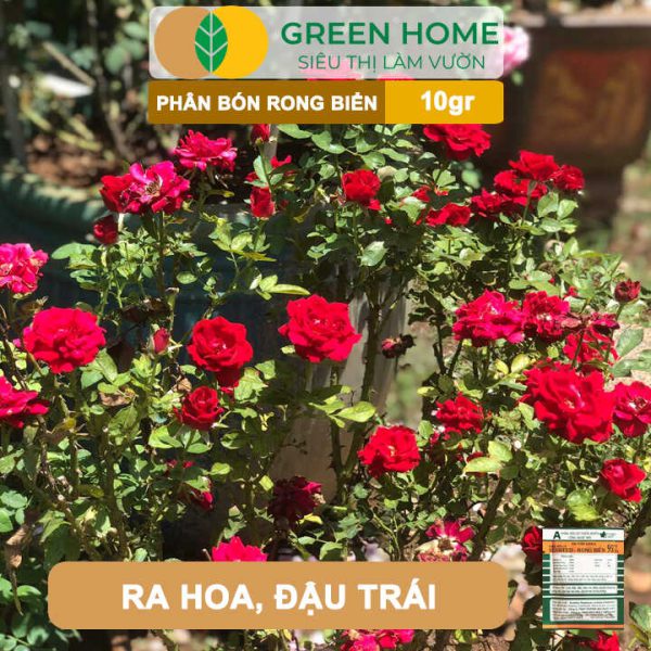 Phân Bón Lá Rong Biển Seaweed, Gói 10gr