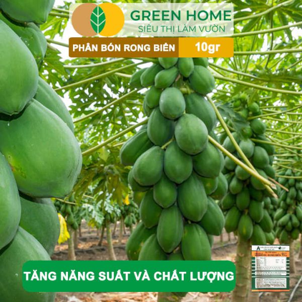 Phân Bón Lá Rong Biển Seaweed, Gói 10gr