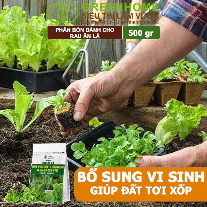 Phân Bón Rau Ăn Lá, Phú Mỹ, Gói 500gr, Bung Rễ Mạnh, Ra Lá Nhanh, Xanh Cây, Tốt Lá, Năng Suất Cao