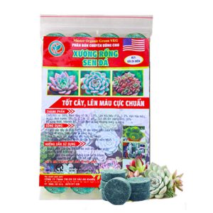 Phân Bón Cây Sen Đá, Gói 24 Viên, Kích Rễ, Lên Màu Chuẩn, Dùng Cho Cây Mọng Nước, Xương Rồng