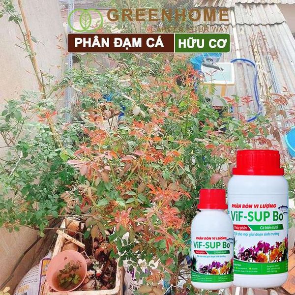 Phân đạm cá