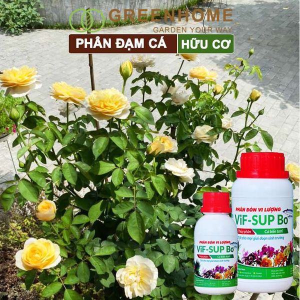 Phân đạm cá