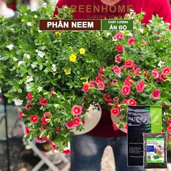 Phân bón hữu cơ Neem nguyên chất Greenhome, trị sùng đất, cuốn chiếu, hỗ trợ kích rễ, mầm, hoa, thân, lá