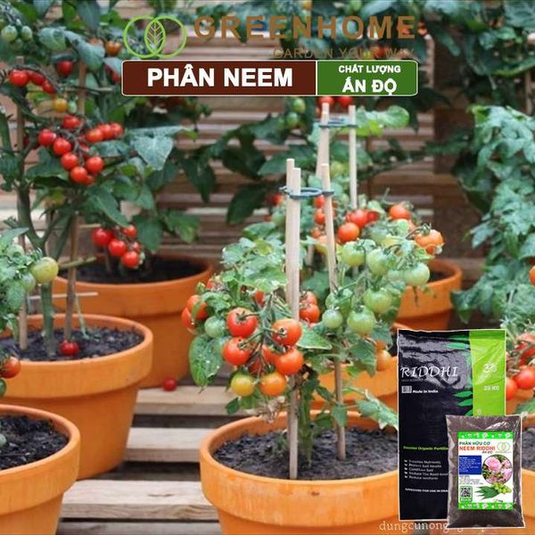 Phân bón hữu cơ Neem nguyên chất Greenhome, trị sùng đất, cuốn chiếu, hỗ trợ kích rễ, mầm, hoa, thân, lá
