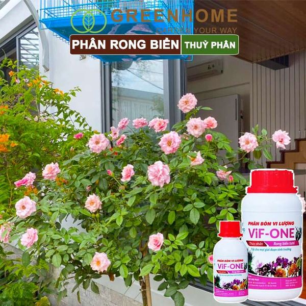 Phân bón lá Lavamix, rong biển, siêu kích rễ, mầm lá, hoa hồng, lan, các lại rau |Greenhome