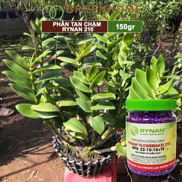 Phân tan chậm Rynan 210