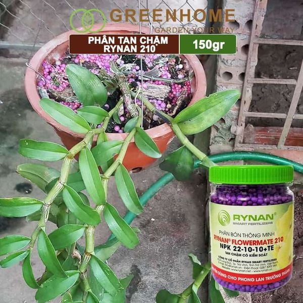 Phân tan chậm Rynan 210