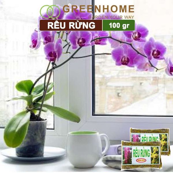 Rêu rừng Newzita, bao 100gr, đã qua xử lý, giữ ẩm tốt, chuyên phong lan, kiểng lá | Greenhome