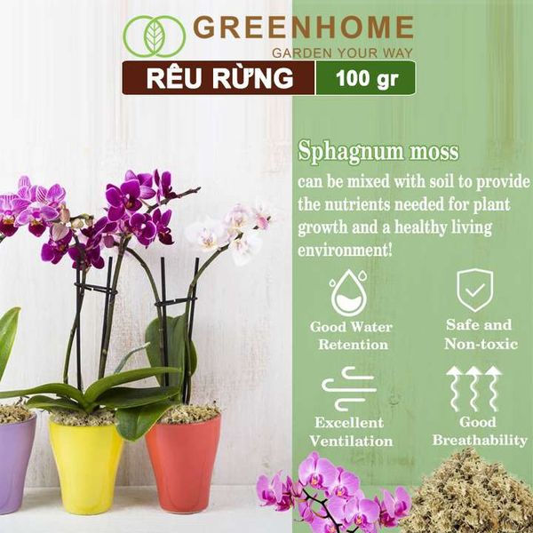 Rêu rừng Newzita, bao 100gr, đã qua xử lý, giữ ẩm tốt, chuyên phong lan, kiểng lá | Greenhome
