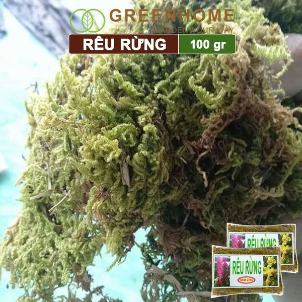 Rêu rừng Newzita, bao 100gr, đã qua xử lý, giữ ẩm tốt, chuyên phong lan, kiểng lá | Greenhome
