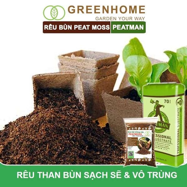 Rêu than bùn peatmoss
