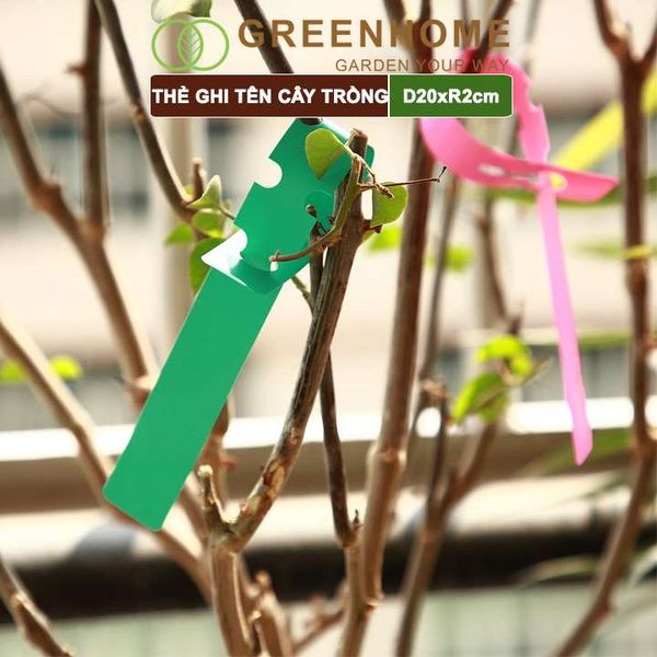Thẻ ghi tên cây, đánh dấu đồ vật Greenhome, D20xR2cm, chất liệu nhựa PVC, dễ lắp đặt, tái sử dụng