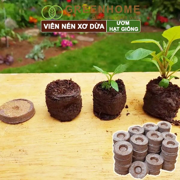 Viên nén xơ dừa, bao 50 viên, ươm hạt giống trồng cây, ươm hạt, ươm cây giống, trồng dâu tây, thuỷ canh |Greenhome
